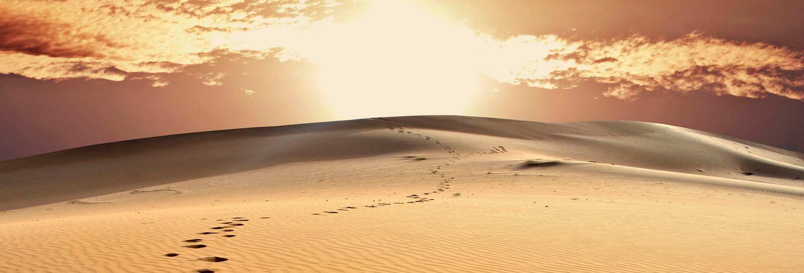 Lição 7 - Os perigos do deserto - VIDEOAULAS