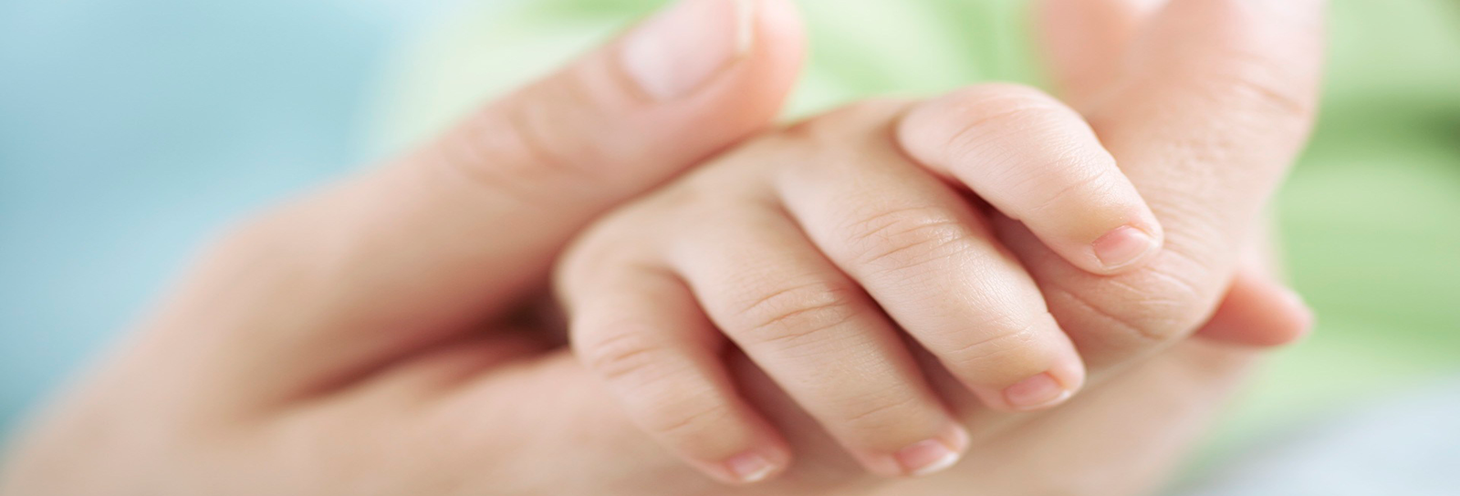 Lição 12 - Eu? A mãe do Salvador? II