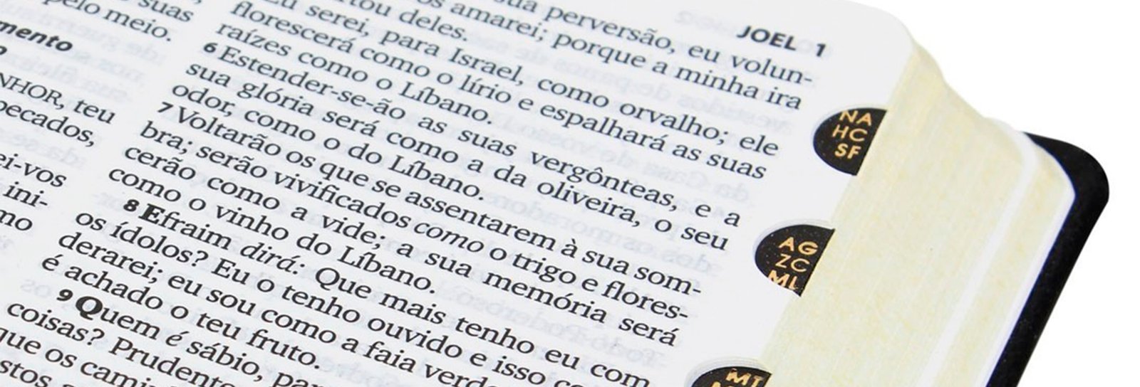 Lição 3 - Joel, o anúncio do "Pentecostes" III