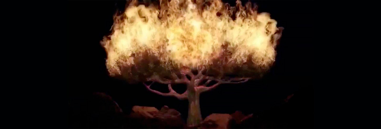 Lição 1 - Moisés: A diferença que a presença de Deus faz II