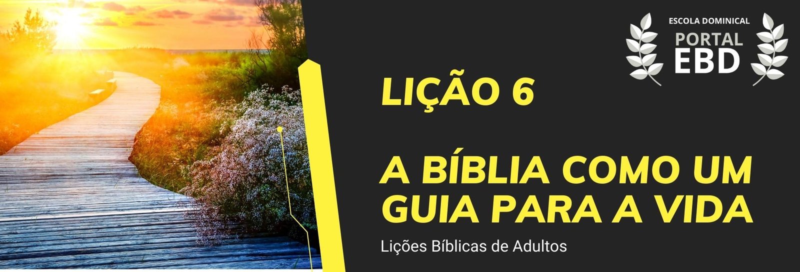 Lição 6 - A Bíblia como um guia para a vida I
