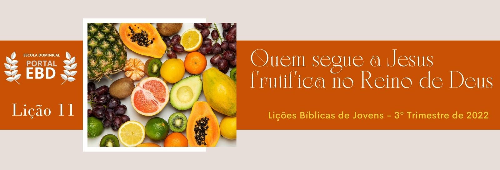 Lição 11 - Quem segue a Cristo frutifica no reino de Deus II