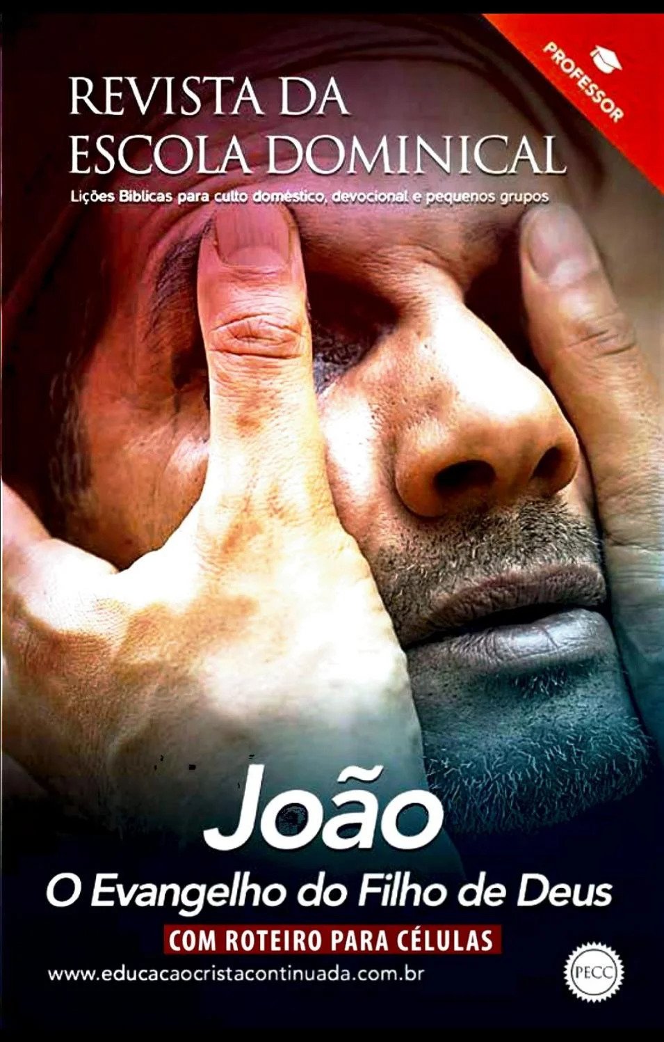 Lição 13 - Programa de Educação Cristã Continuada - João 20 e 21 - A gloriosa ressurreição de Jesus VIDEOAULAS 